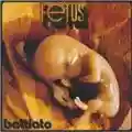 Franco Battiato Fetus
