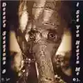 The Desert Sessions Volumes 9 & 10