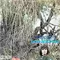 Al Stewart Zero She Flies