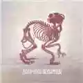 Aesop Rock Skelethon