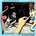 The Chameleons Strange Times