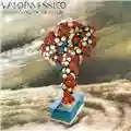 Vadoinmessico Archaeology Of The Future