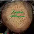 Fabio Pianigiani Legno