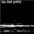 The Died Pretty Mirror Blues