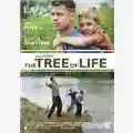 Terrence Malick The Tree Of Life