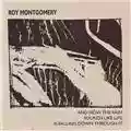 Roy Montgomery And Now the Rain Sounds Like Life Is Falling Down Through It