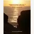 Vito Franchini Shasmahal - La città meravigliosa