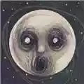 Steven Wilson The Raven That Refused To Sing