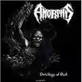 Amorphis Privilege of Evil
