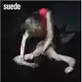 Suede Bloodsports
