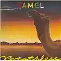 Camel Breathless