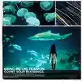 Bring Me the Horizon Count Your Blessings
