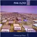 Pink Floyd A Momentary Lapse Of Reason