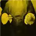 Sigur Ròs Brennisteinn (EP)
