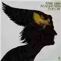 Rare Bird As Your Mind Flies By