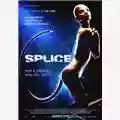 Vincenzo Natali Splice