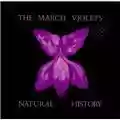 The March Violets Natural History
