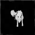 Sigur Rós Kveikur