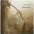 Robert Rich Somnium