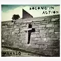 Bogong In Action Mahalo