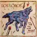 Los Lobos How Will the Wolf Survive?