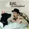 The Divine Comedy Bang Goes The Knighthood