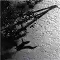 Max Richter The Blue Notebooks