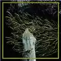 Forest Swords Engravings