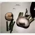 Motorpsycho Still Life With Eggplant