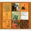 Califone All My Friends Are Funeral Singers
