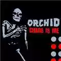 Orchid Chaos Is Me