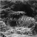 Loma Prieta I.V.