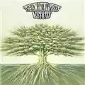 The Smoking Trees Acetates