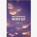 David Foster Wallace Infinite Jest