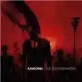 Katatonia Live Consternation