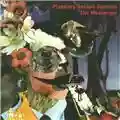 Planetary Assaul Systems The Messenger