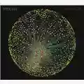 Midlake Antiphon