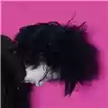 Thalia Zedek Band Six