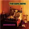The Soft Boys Nextdoorland