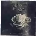 More Than Life What's Left Of Me