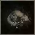 Harakiri for the Sky Aokigahara