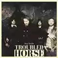 Troubled Horse Step Inside