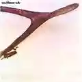 Wishbone Ash Wishbone Ash