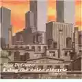 Paolo Di Cioccio I Sing The Voice Electric - Theremin Recital