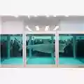 Damien Hirst The Physical Impossibility of Death in the Mind of Someone Living