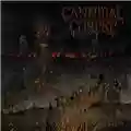 Cannibal Corpse A Skeletal Domain