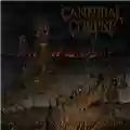 Cannibal Corpse A Skeletal Domain