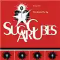 The Sugarcubes Stick Around for Joy