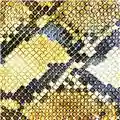 The Amazing Snakeheads Amphetamine Ballads