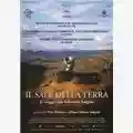 Wim Wenders, Juliano Ribeiro Salgado Il sale della terra